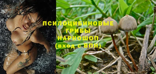 наркотики Алексеевка