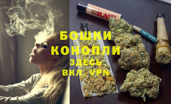 ПСИЛОЦИБИНОВЫЕ ГРИБЫ Алзамай