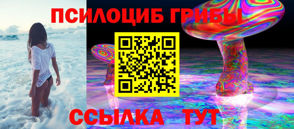 Галлюциногенные грибы прущие грибы Избербаш