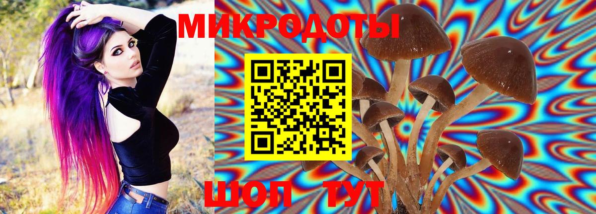 Галлюциногенные грибы ЛСД  Вход с VPN  Галлюциногенные грибы Cubensis  купить наркотики сайты  Избербаш 